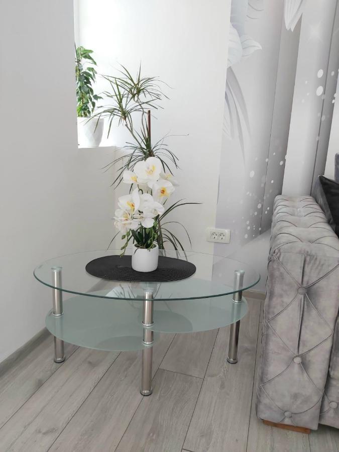 Apartment Marina 2 Kotor Extérieur photo