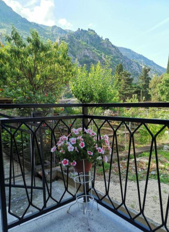 Apartment Marina 2 Kotor Extérieur photo