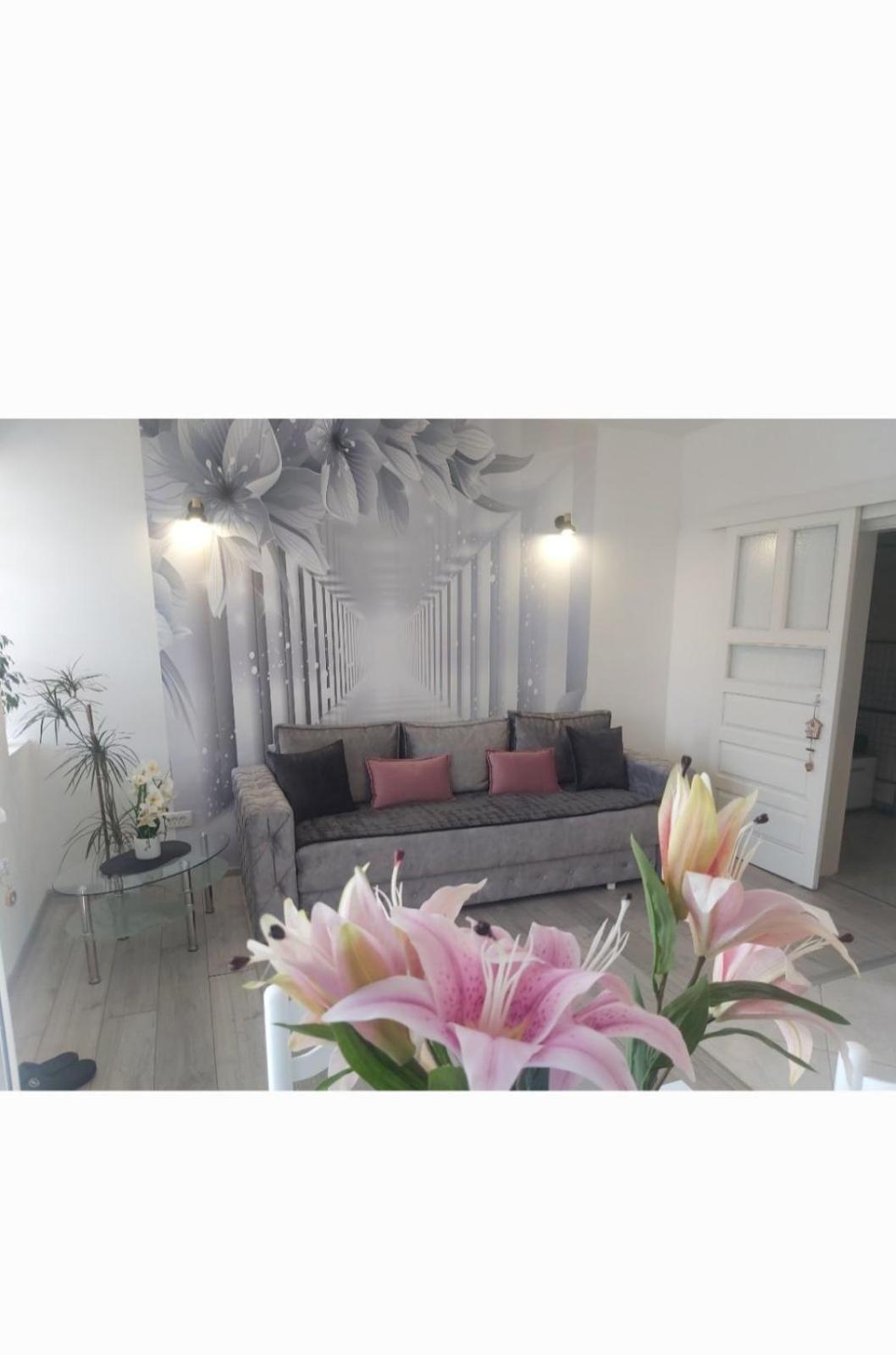 Apartment Marina 2 Kotor Extérieur photo